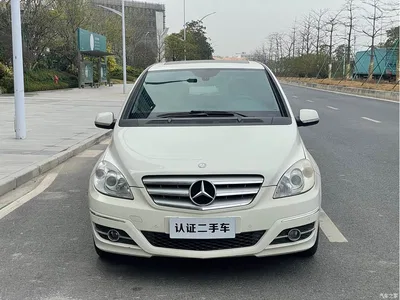 2009 Mercedes-Benz B-Class B 200 Luxury, фото 2, лот 10287521