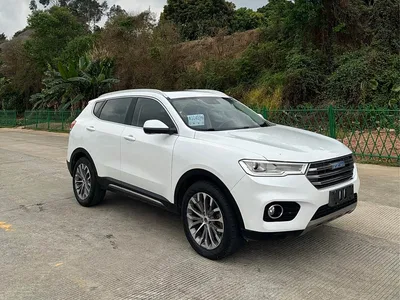 2017 Haval H6 Blue Label 2.0T Automatic 2WD Smart Edition, фото 3, лот 10301285