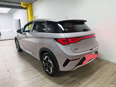 2025 Byd Dolphin, фото 2, лот 10248496