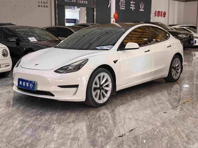 2022 Tesla Model 3 Model Rear-Wheel Drive Version, фото 1, лот 10351892