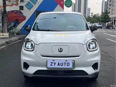 2025 Leapmotor T03 Model 310 Comfort Edition, фото 2, лот 10314337