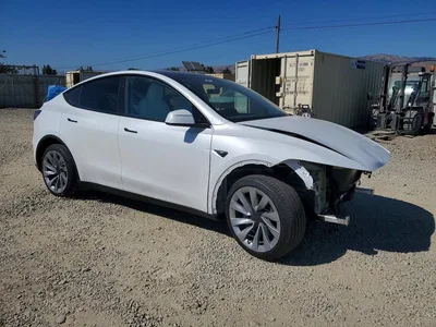 2026 TESLA MODEL Y, фото 4, лот 10971319