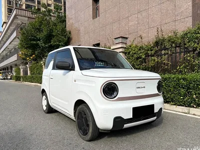 2024 Geely Galaxy Panda 200km Panda Kart, фото 3, лот 11137686
