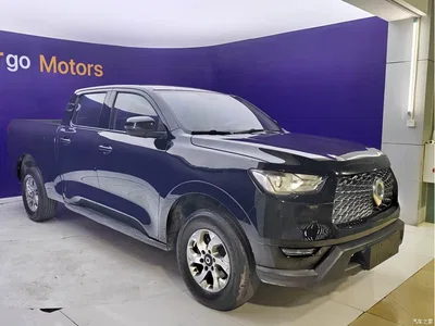 2021 Great Wall Pao 2.0T Commercial Edition Automatic Diesel 4WD Elite Long Box GW4D20M, фото 3, лот 11493582