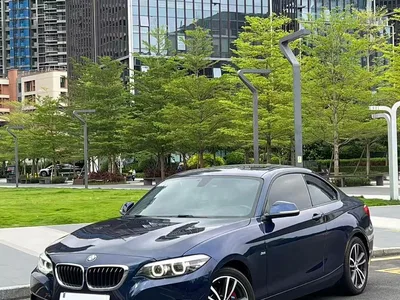 2018 BMW 2 Series (Import) 220i Sport Design Package, фото 4, лот 10632721