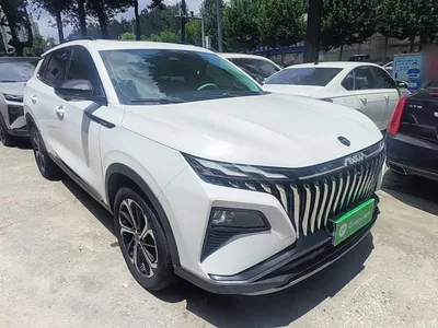 2022 Dongfeng Aeolus Haoji Mach Power 1.5T Dare Go Smart Edition, фото 4, лот 11158975