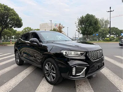 2020 WEY VV5 1.5T 2WD Trend Pioneer, фото 3, лот 10955064