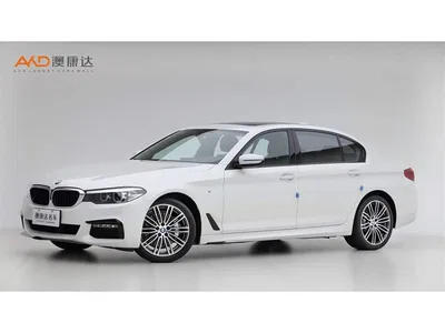 2019 BMW 5 Series 530Li Leading M Sport Package, фото 1, лот 11565446