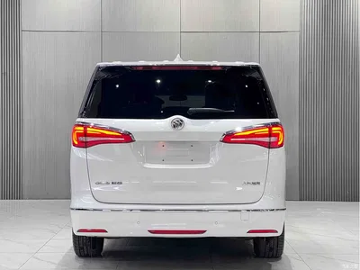 2018 Buick GL8 ES 28T Premium Type China VI, фото 4, лот 10245764