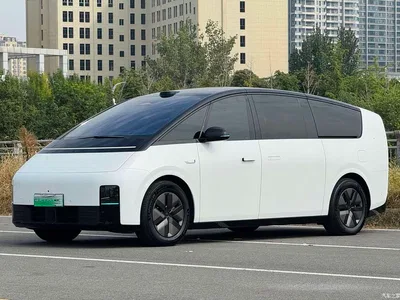 2025 Li Auto MEGA Model Home Family Special Edition, фото 1, лот 11242003