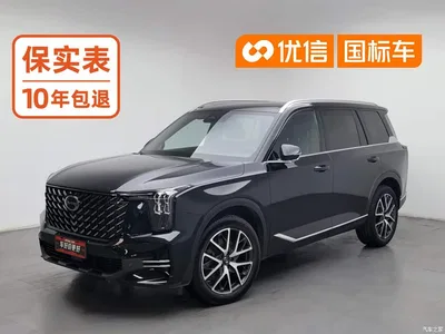 2025 GAC Trumpchi Trumpchi GS8 Pilot Series 2.0TGDI AWD Luxury Edition 5-Seater, фото 1, лот 11584555