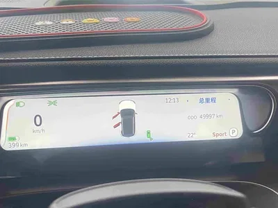 2022 smart Elf #1 Pulse Heartbeat Edition, фото 4, лот 11408465
