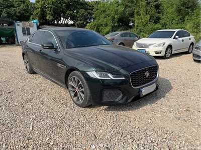 2022 Jaguar XFL 2.0T P250 2WD Elite Sport, фото 3, лот 11137339