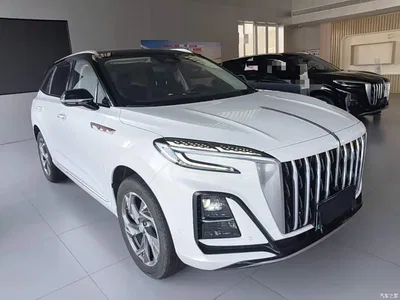 2023 Hongqi HS3 2.0T 4WD Achievement Edition, фото 4, лот 10289506