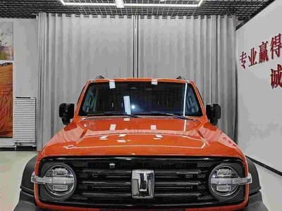 2021 Tank 300 Off-road Version 2.0T Conqueror, фото 2, лот 10345198