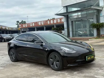 2020 Tesla Model 3 Standard Range Rear-Wheel Drive Upgrade, фото 3, лот 11547534