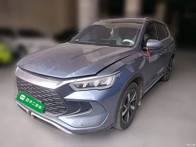 2024 BYD Song Pro New Energy Glory Edition DM-i 71KM Pilot, фото 3, лот 11568070