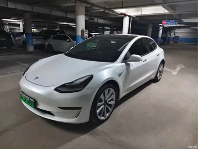 2020 Tesla Model 3 Facelift Long Range Rear-Wheel Drive, фото 1, лот 10693898