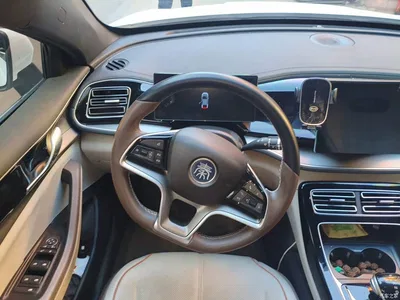 2024 BYD Qin PLUS Glory Edition EV 510KM Leading, фото 3, лот 10350201