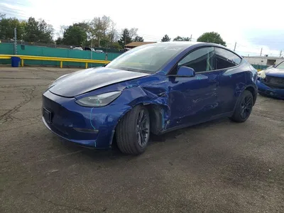 2024 TESLA MODEL Y, фото 1, лот 10854658