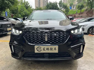 2020 WEY VV5 1.5T 2WD Smart Pioneer, фото 2, лот 11017693