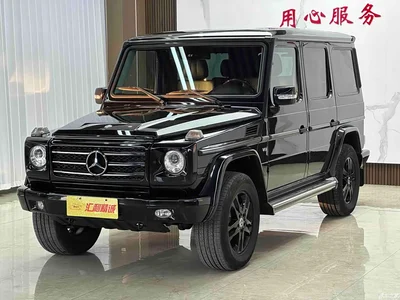 2010 Mercedes-Benz G-Class G 500, фото 1, лот 10255672