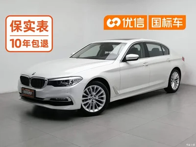 2019 BMW 5 Series 525Li Luxury Package, фото 1, лот 10696773