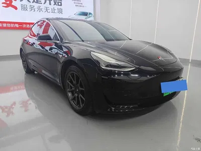 2020 Tesla Model 3 Standard Range Rear-Wheel Drive Upgrade, фото 3, лот 10453663
