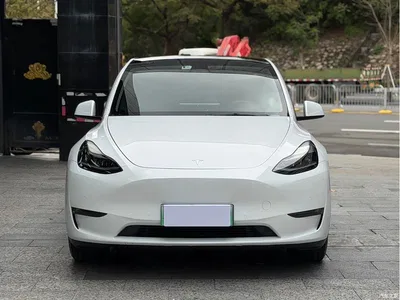 2021 Tesla Model Y Model Long Range AWD, фото 2, лот 10600246