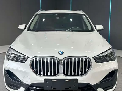 2021 BMW X1 sDrive25Li Leading, фото 2, лот 10408523