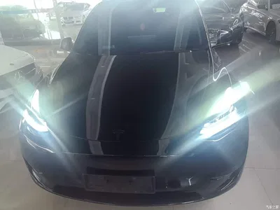 2023 Tesla Model Y Rear-Wheel Drive Edition, фото 3, лот 10369998