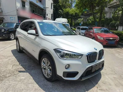 2018 BMW X1 sDrive20Li Leading Model, фото 4, лот 10467702