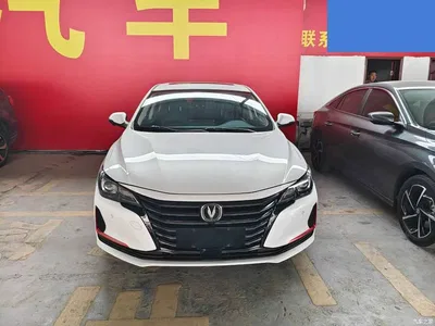 2021 Changan Ruicheng CC Blue Whale Edition 1.5T DCT Luxury, фото 2, лот 11449552