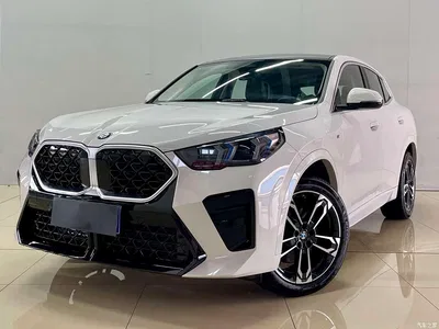 2024 BMW X2 (Import) sDrive25i M Sport Package, фото 3, лот 10475580
