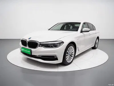 2020 BMW 5 Series New Energy 530Le Range Upgrade Luxury Package, фото 1, лот 11188869