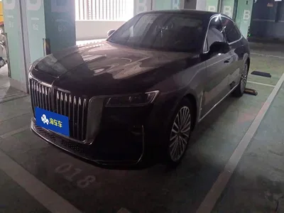 2020 Hongqi H9 2.0T Smart Connection Qi Chang Edition, фото 1, лот 10287943