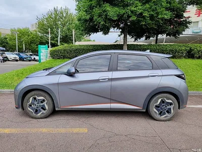 2021 BYD Dolphin 405km Freedom Edition, фото 3, лот 11516941