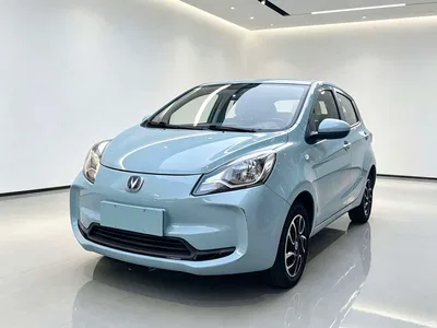 2021 Changan Benben E-Star National Edition Colorful Version LFP (31.95kWh), фото 1, лот 10448865