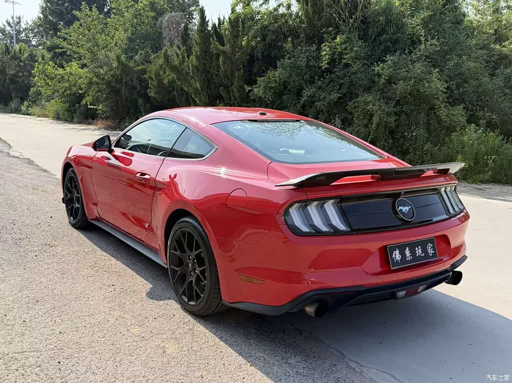 2019 Ford Mustang 2.3L EcoBoost, фото 4, лот 11215548
