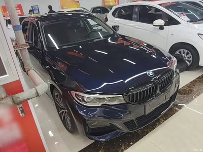 2021 BMW 3 Series 320Li M Sport Package, фото 4, лот 10457897