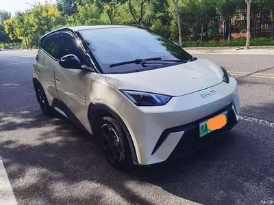 2025 BYD Seagull Smart Drive Edition 305km Vitality Version, фото 3, лот 10598406