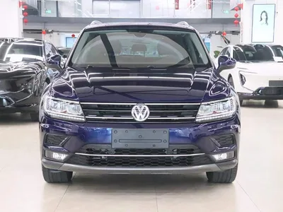2019 Volkswagen Tiguan 330TSI 4WD Smart Edition, фото 2, лот 10423979