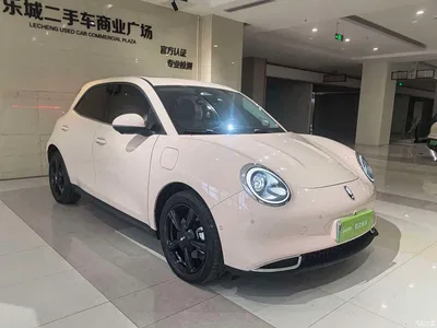 2024 Ora Good Cat 401km Premium 126kW, фото 3, лот 11249324