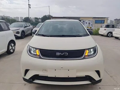 2025 BYD Dolphin 420km Freedom Edition, фото 3, лот 10260197