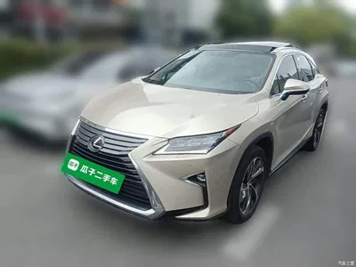 2016 Lexus RX 300 4WD Elegance Edition (China V), фото 1, лот 10319929