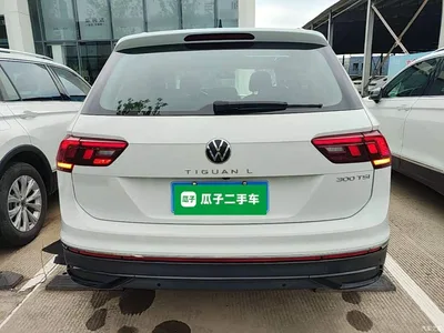 2024 Volkswagen Tiguan L Outstanding 300TSI Auto 2WD Dragon Soaring Edition, фото 4, лот 10462475