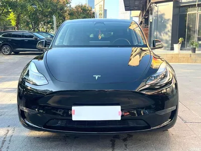 2023 Tesla Model Y Long Range All-Wheel Drive Edition, фото 2, лот 10807976