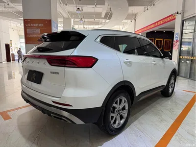 2021 Haval H6 Model National Trend Edition 1.5T Auto Champion, фото 4, лот 10282208