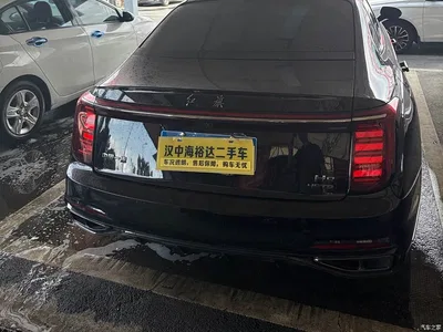 2025 Hongqi H9 2.0T 2WD Qichang Luxury Business Edition 5-seater, фото 4, лот 10361268
