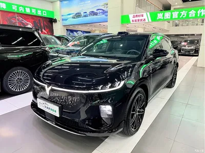 2025 Voyah Auto Voyah Zhiyin Base, фото 1, лот 11169856